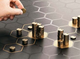Qual a importância da diversificação?