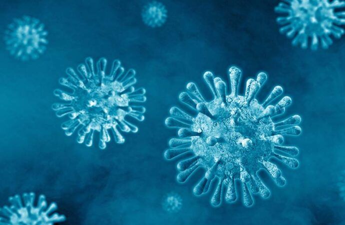Covid-19: Brasil confirma dois casos da Deltacron