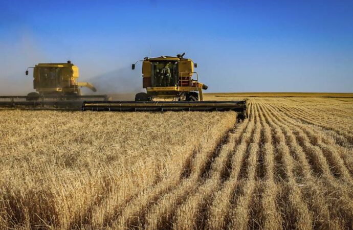 Produção agrícola em 2021 bate novo recorde e atinge R$ 743,3 bilhões