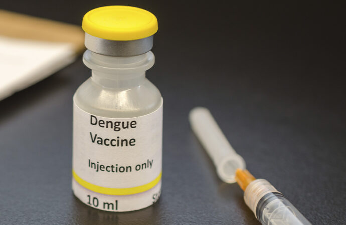 Empresa japonesa termina testes para vacina contra a dengue