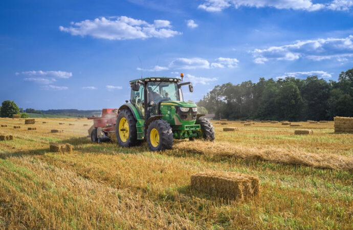 Traçando novos caminhos para o sistema alimentar mundial